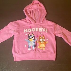 Bluey 2-Piece Hoodie and Pants Set